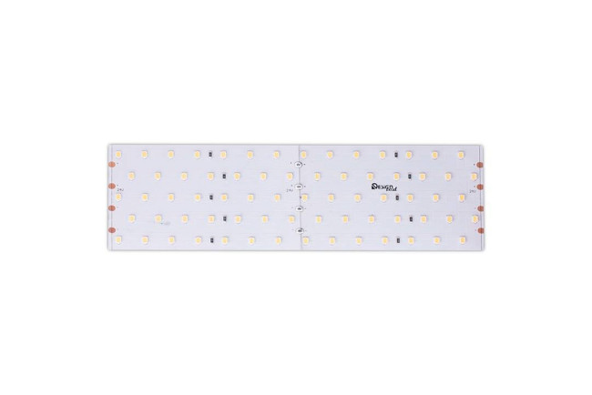 Светодиодная лента DesignLed DSG2350-24-NW-33 000594 Светодиодная лента DesignLed DSG2350-24-NW-33 000594