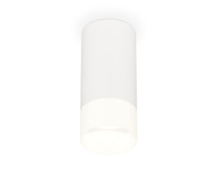 Потолочный светильник Ambrella Light Techno Spot XS8161003 (C8161, N8402)