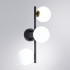 Бра Arte Lamp Gemini A2243PL-3BK Бра Arte Lamp Gemini A2243PL-3BK