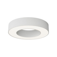 Потолочный светильник Maytoni Technical Lua C093CL-24W4K-W Потолочный светильник Maytoni Technical Lua C093CL-24W4K-W