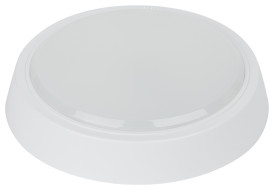 Настенно-потолочный светильник Эра SPB-301-2-4K-20 Б0055046