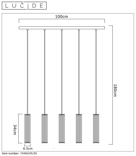 Подвесной светильник Lucide LIONEL 73406/05/30 Подвесной светильник Lucide LIONEL 73406/05/30