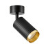Спот Lampit Rin TS TK10-C1 BK+GD