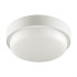 Настенно-потолочный светильник Wolta LCL04-8W-R11-4K-SOA