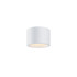 Потолочный светильник Maytoni Technical Ceiling&Wall Hydra C090CL-10W3K-W Потолочный светильник Maytoni Technical Ceiling&Wall Hydra C090CL-10W3K-W