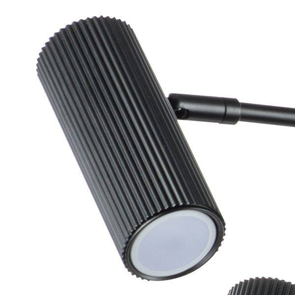 Люстра на штанге Lightstar Roma 718267