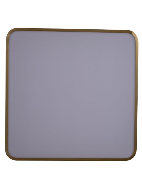 Потолочный светильник Zortes Monna ZRS.1209.03 Потолочный светильник Zortes Monna ZRS.1209.03