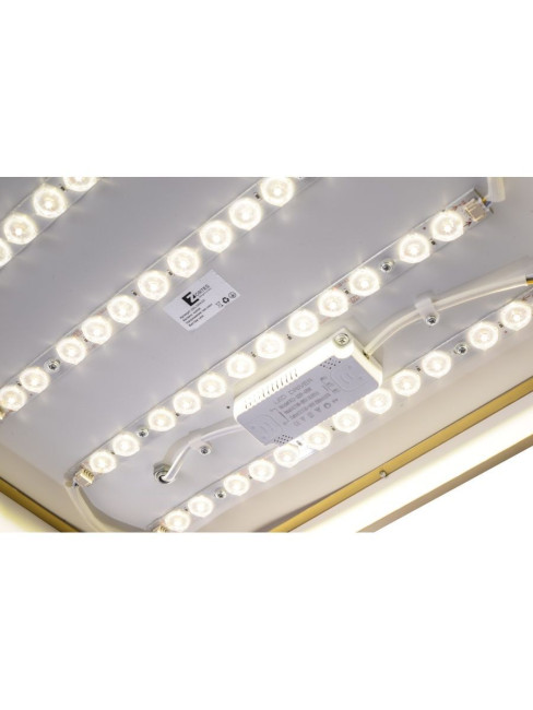 Потолочный светильник Zortes Monna ZRS.1209.03 Потолочный светильник Zortes Monna ZRS.1209.03