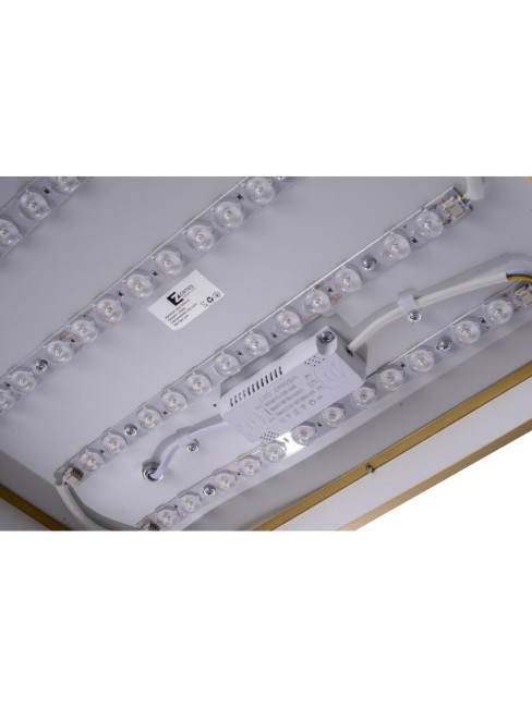 Потолочный светильник Zortes Monna ZRS.1209.03 Потолочный светильник Zortes Monna ZRS.1209.03