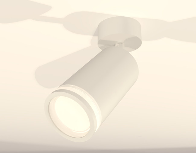 Спот Ambrella Light Techno Spot XM6322013 (A2202, C6322, N6220)