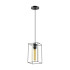 Подвесной светильник Lumion Elliot 3728/1 Подвесной светильник Lumion Elliot 3728/1
