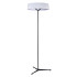 Торшер Divinare Alma 1029/06 PN-11 Торшер Divinare Alma 1029/06 PN-11