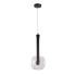 Подвесной светильник Delight Collection OD2553-1B black/clear
