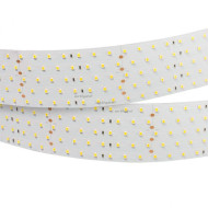 Лента Arlight 025162(1)