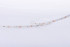 Светодиодная лента DesignLed DSG260-12-NW-33 001491 Светодиодная лента DesignLed DSG260-12-NW-33 001491