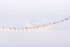 Светодиодная лента DesignLed DSG260-12-NW-33 001491 Светодиодная лента DesignLed DSG260-12-NW-33 001491