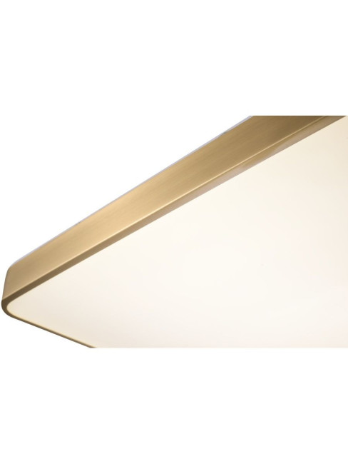 Потолочный светильник Zortes Monna ZRS.1209.05 Потолочный светильник Zortes Monna ZRS.1209.05