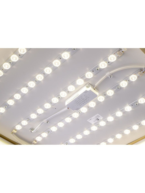 Потолочный светильник Zortes Monna ZRS.1209.05 Потолочный светильник Zortes Monna ZRS.1209.05