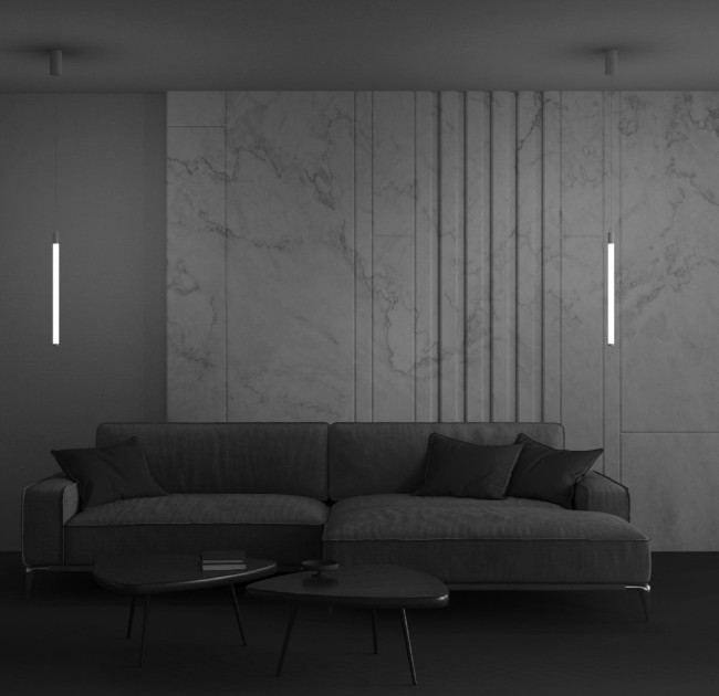 Подвесной светодиодный светильник Maytoni Technical Ray P022PL-L10W