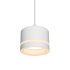 Подвесной светильник Wolta Luce WSL-GX53/P06W
