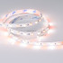 Светодиодная лента Arlight Rt-b60-10mm 5060 018326(2) Светодиодная лента Arlight Rt-b60-10mm 5060 018326(2)