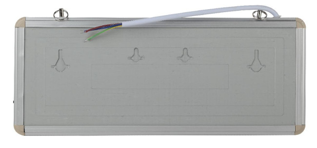 Аварийный светильник Эра SSA-101-4-20 Б0044391
