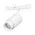 Трековый магнитный светильник Arlight MAG-MICROCOSM-SPOT-ZOOM-R30-2W Warm3000 (WH, 15-45 deg, 24V) (IP20 Металл) 051804 Трековый магнитный светильник Arlight MAG-MICROCOSM-SPOT-ZOOM-R30-2W Warm3000 (WH, 15-45 deg, 24V) (IP20 Металл) 051804