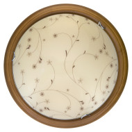 Настенно-потолочный светодиодный светильник Toplight Karissa TL9650Y-00OA