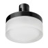 Трековый однофазный светильник Lightstar Due Hermes 210647 Трековый однофазный светильник Lightstar Due Hermes 210647