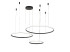 Подвесная люстра Zortes Ringolight ZRS.33320.120F Подвесная люстра Zortes Ringolight ZRS.33320.120F