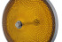 Подвесной светильник Lucia Tucci COIN 2890.R170.1 D250 YL Подвесной светильник Lucia Tucci COIN 2890.R170.1 D250 YL