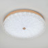 Потолочный светильник LED4U L1116-500 GD Потолочный светильник LED4U L1116-500 GD