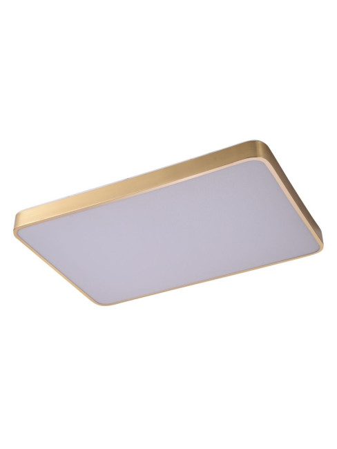 Потолочный светильник Zortes Monna ZRS.1209.09 Потолочный светильник Zortes Monna ZRS.1209.09