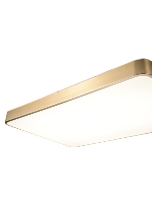 Потолочный светильник Zortes Monna ZRS.1209.09 Потолочный светильник Zortes Monna ZRS.1209.09