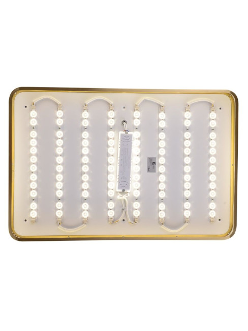 Потолочный светильник Zortes Monna ZRS.1209.09 Потолочный светильник Zortes Monna ZRS.1209.09