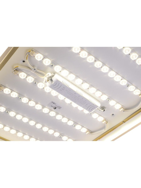 Потолочный светильник Zortes Monna ZRS.1209.09 Потолочный светильник Zortes Monna ZRS.1209.09