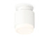 Потолочный светильник Ambrella Light Techno Spot XS7510043 (N7925, C7510, N7120) Потолочный светильник Ambrella Light Techno Spot XS7510043 (N7925, C7510, N7120)