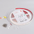 Светодиодная герметичная лента Arlight RTW-SEW-A308-10mm 24V Warm2400 (14 W/m, IP65, 2835, 5m) 053508 Светодиодная герметичная лента Arlight RTW-SEW-A308-10mm 24V Warm2400 (14 W/m, IP65, 2835, 5m) 053508