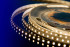 Светодиодная лента DesignLed DSG298-24-NW-33 000526 Светодиодная лента DesignLed DSG298-24-NW-33 000526