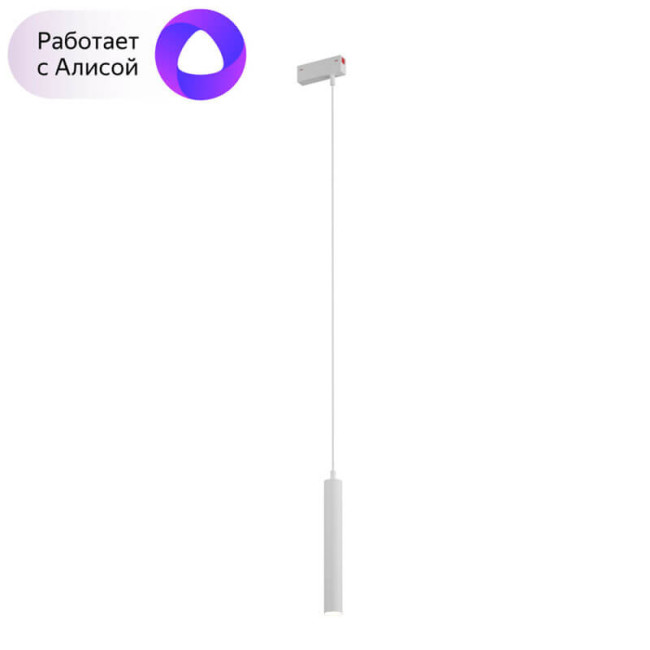 Трековый светильник Denkirs Smart DK8008-WH