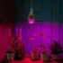 Лампа светодиодная для растений (11098) Uniel E27 20W прозрачная LED-M80-20W/SP/E27/CL ALS55WH