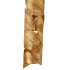 Настенный светильник Favourite Leaftube 4802-1W Настенный светильник Favourite Leaftube 4802-1W