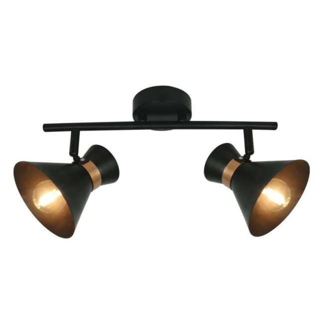 Спот Arte Lamp Baltimore A1406AP-2BK Спот Arte Lamp Baltimore A1406AP-2BK