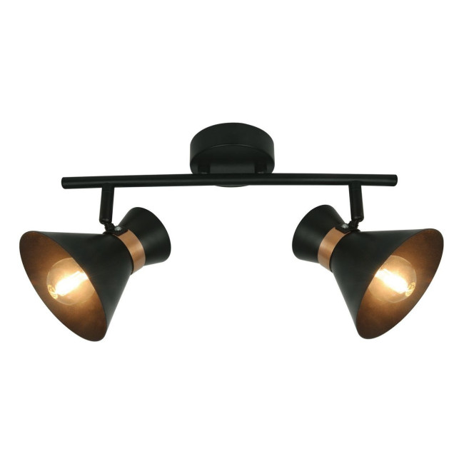Спот Arte Lamp Baltimore A1406AP-2BK Спот Arte Lamp Baltimore A1406AP-2BK