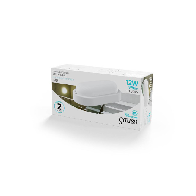 Уличный светодиодный светильник Gauss 161411212 Уличный светодиодный светильник Gauss 161411212