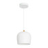 Подвесной светильник Arlight SP-PEONY-HANG-R250-15W Day4000 (WH, 65 deg, 230V) 039547 Подвесной светильник Arlight SP-PEONY-HANG-R250-15W Day4000 (WH, 65 deg, 230V) 039547