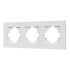 Рамка на 3 поста пластиковая Arlight FRM-PERIO-PL-3-WH 049754 Рамка на 3 поста пластиковая Arlight FRM-PERIO-PL-3-WH 049754