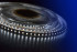 Светодиодная лента DesignLed DSG3120-12-W-33 000525 Светодиодная лента DesignLed DSG3120-12-W-33 000525