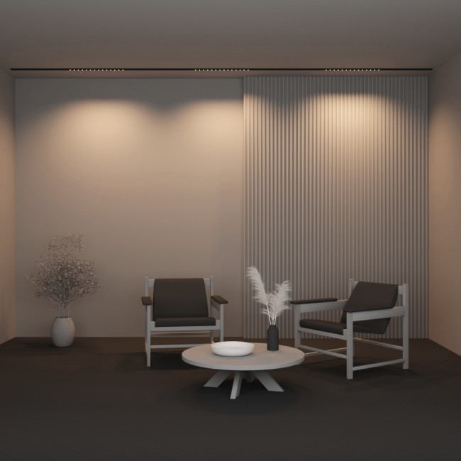 Трековый магнитный светильник Maytoni Points TR174-1-24WTW-M-B