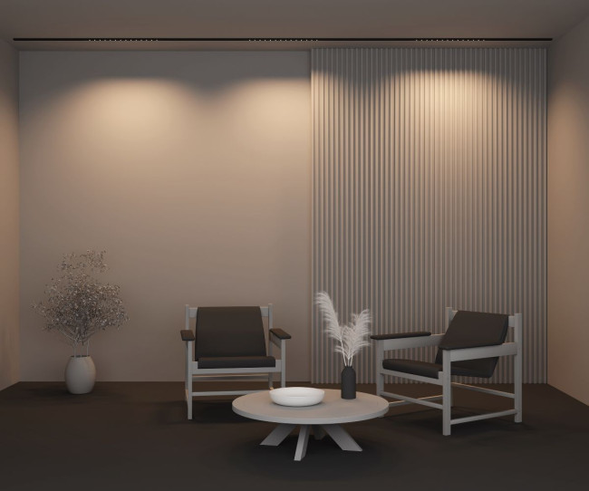 Трековый магнитный светильник Maytoni Points TR174-1-24WTW-M-B